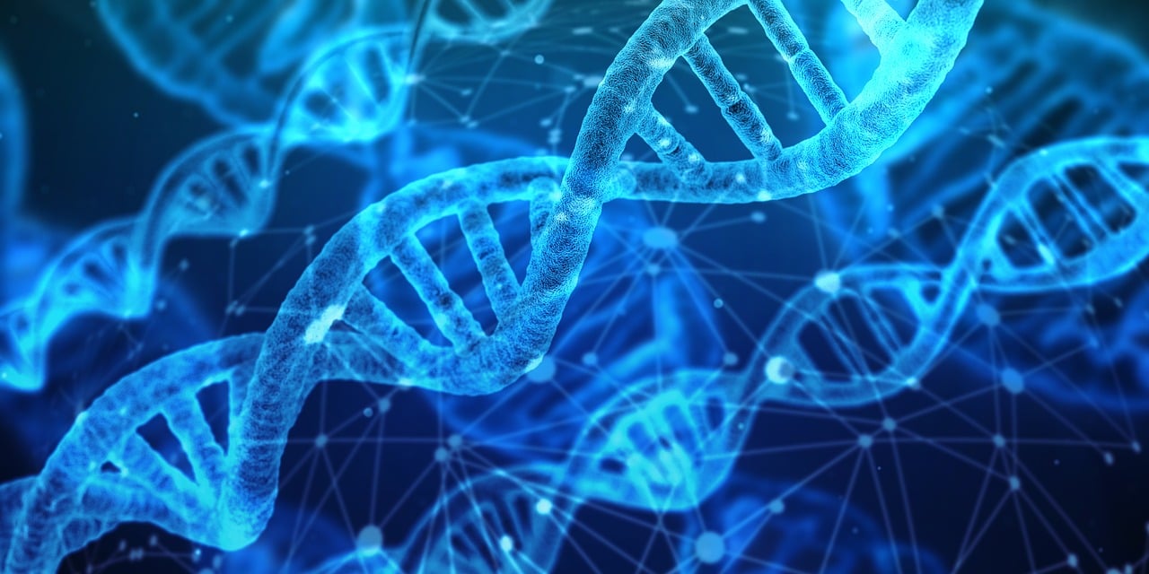 découvrez les dernières avancées et tendances en matière d'innovation : nouvelles technologies, idées créatives et solutions disruptives pour transformer votre quotidien et booster votre entreprise.