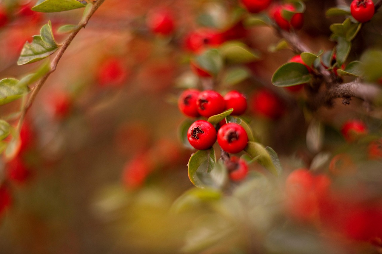 découvrez comment stimuler la croissance de votre entreprise grâce à des stratégies innovantes et des conseils pratiques. atteignez vos objectifs plus rapidement et développez votre potentiel avec nos ressources sur la growth.
