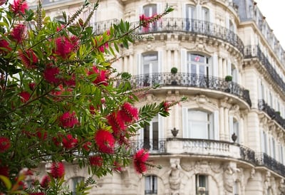 Comment trouver un graphiste à Montpellier en 2025 ?