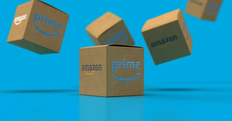 Les cas particuliers : Amazon, Le Bon Coin et compagnie