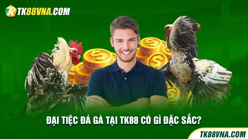 Đại tiệc đá gà tại TK88 có gì đặc sắc