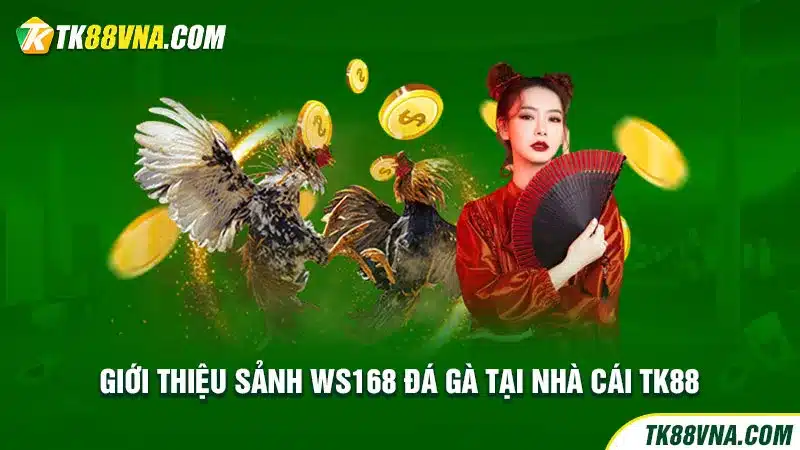 Giới thiệu sảnh WS168 đá gà tại nhà cái TK88