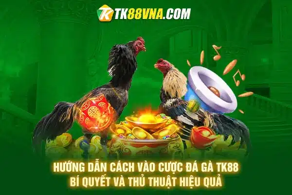 Hướng dẫn cách vào cược đá gà TK88 Bí quyết và thủ thuật hiệu quả