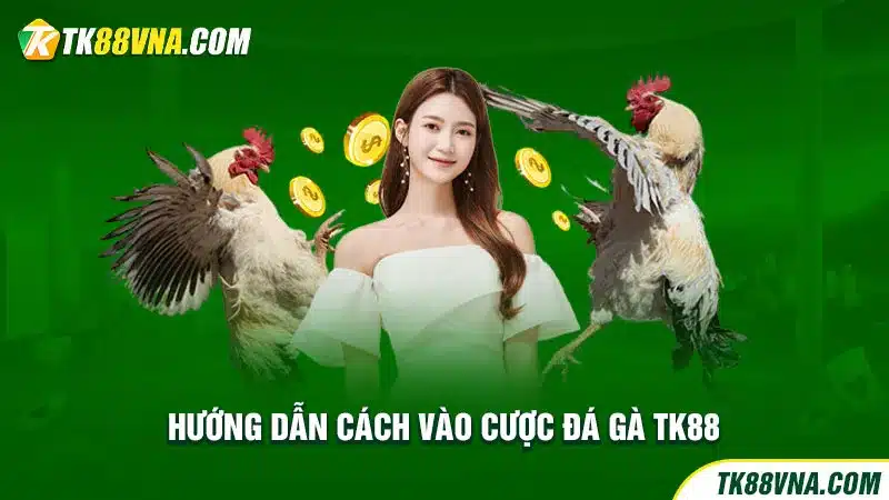 Hướng dẫn cách vào cược đá gà TK88