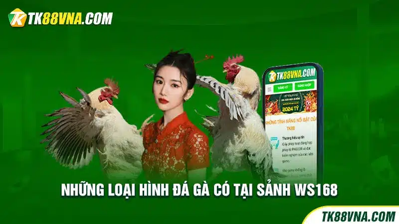 Những loại hình đá gà có tại sảnh WS168