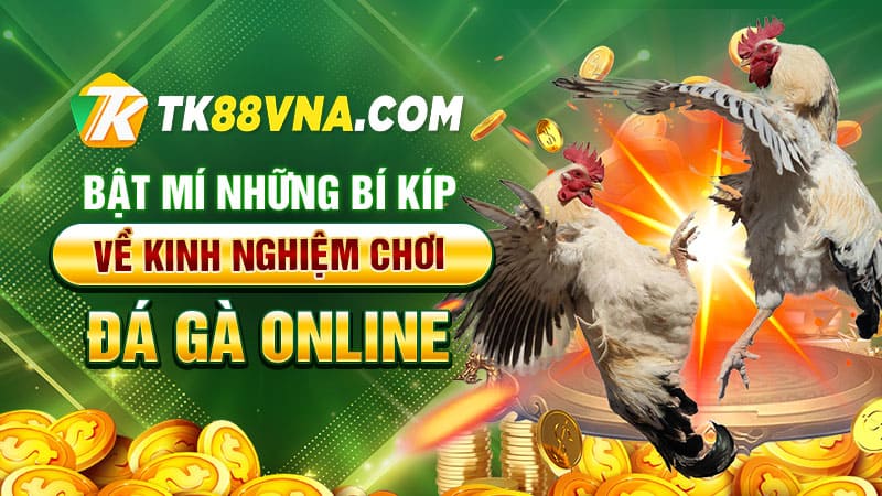 Bật mí những bí kíp về kinh nghiệm chơi đá gà online