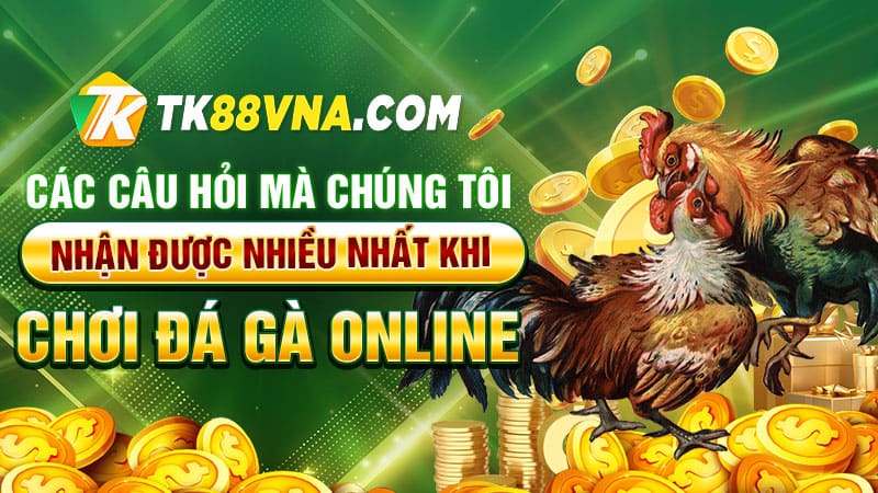 Các câu hỏi mà chúng tôi nhận được nhiều nhất khi chơi đá gà online