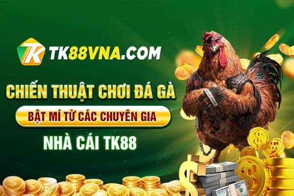 Chiến thuật chơi đá gà Bật mí từ các chuyên gia nhà cái TK88