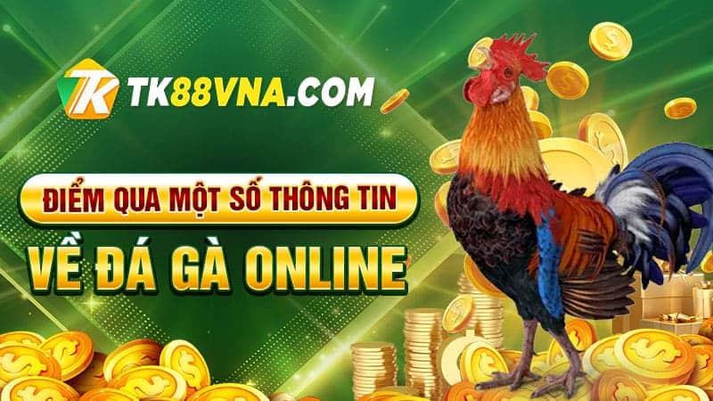 Điểm qua một số thông tin về đá gà online