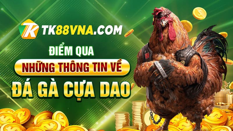 Điểm qua những thông tin về đá gà cựa dao