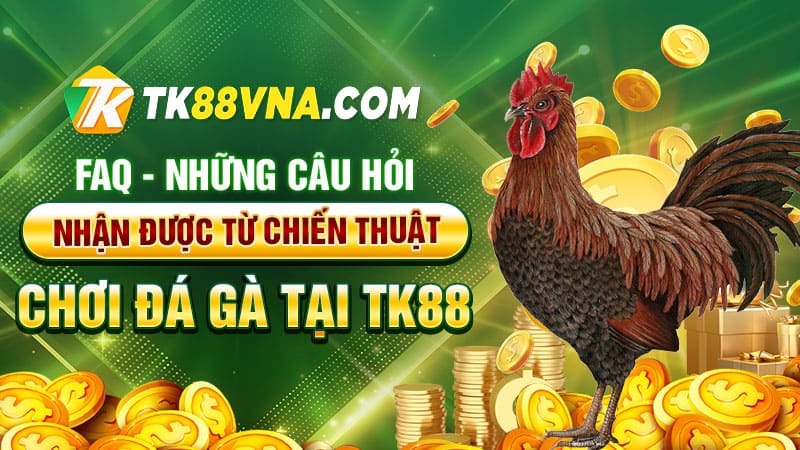 FAQ - Những câu hỏi nhận được từ chiến thuật chơi đá gà tại TK88