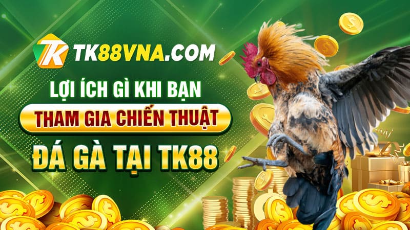 Lợi ích gì khi bạn tham gia chiến thuật đá gà tại TK88