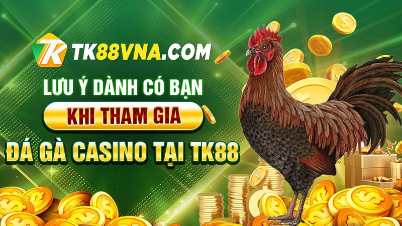 Lưu ý dành có bạn khi tham gia đá gà casino tại TK88