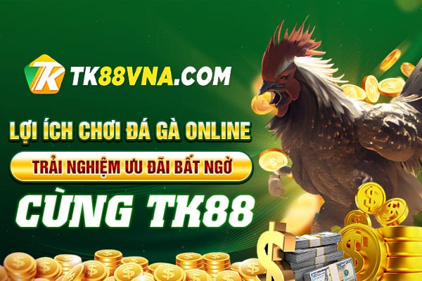 Lợi ích chơi đá gà online| Trải nghiệm ưu đãi bất ngờ cùng TK88