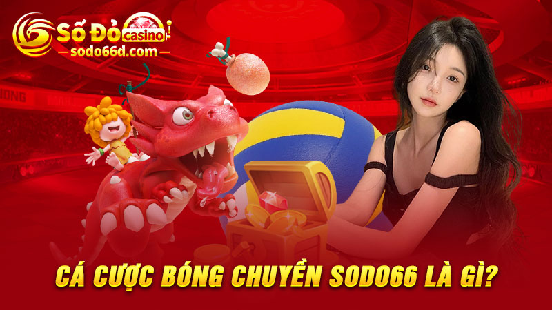 Cá cược bóng chuyền SODO66 là gì?